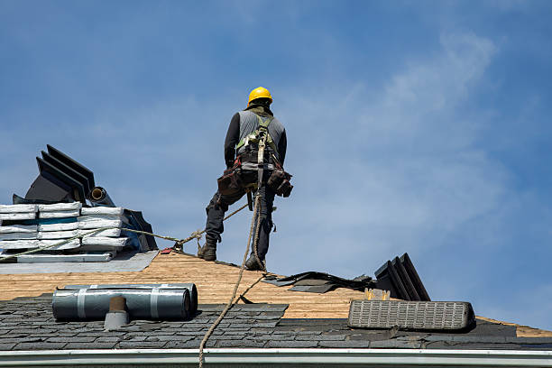 Professional Storm Damage Roof Repair technician working in Colchester, IL